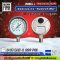 Pressure Gauge Nuova Fima
